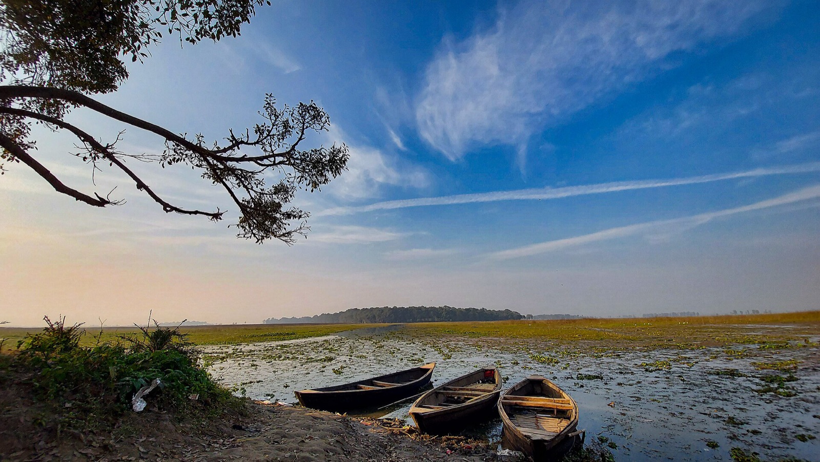 Migratory waterbirds over the vast wetland of Kabartal (Kanwar Lake)
