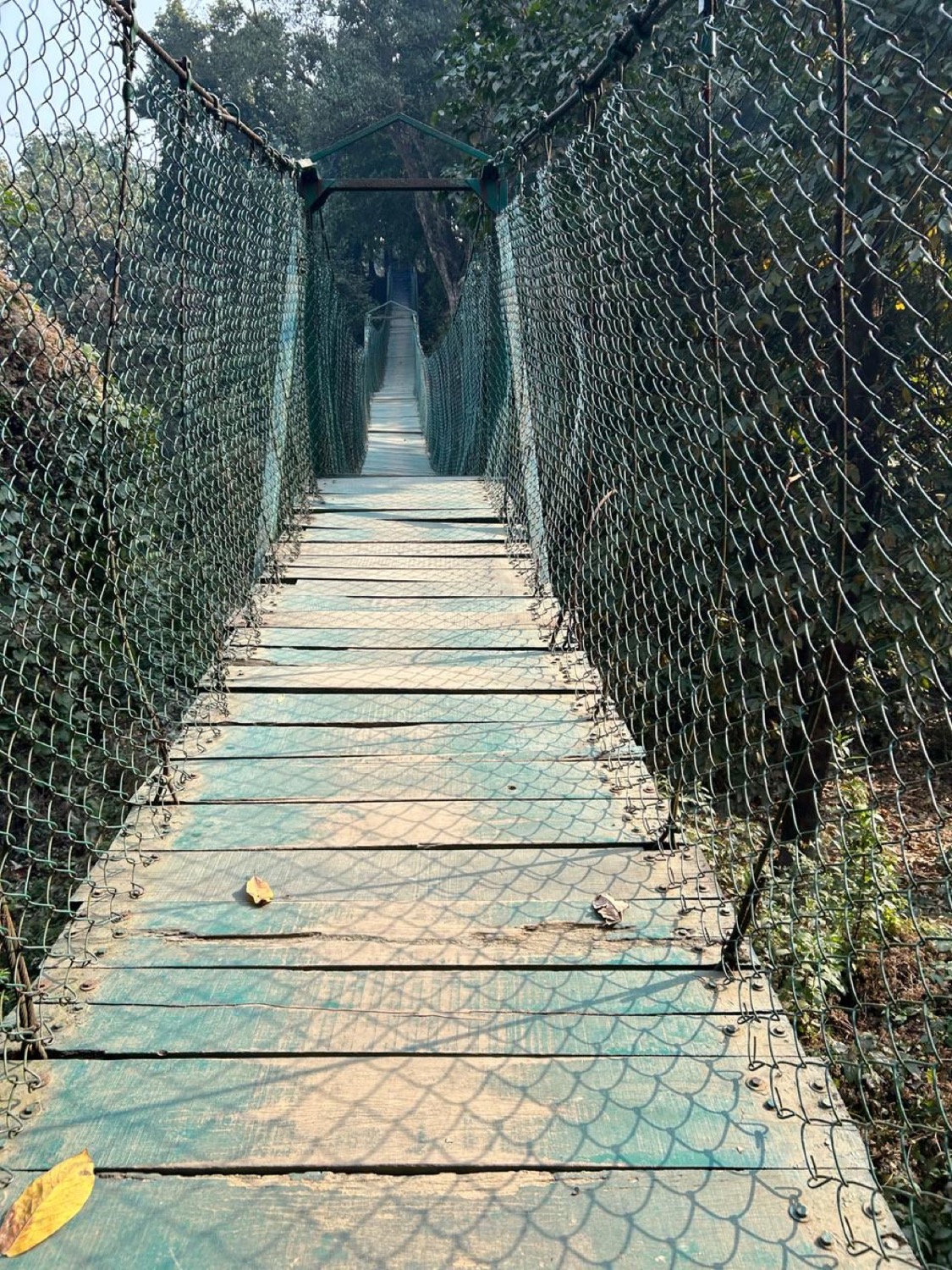 Valmiki Tiger Reserve